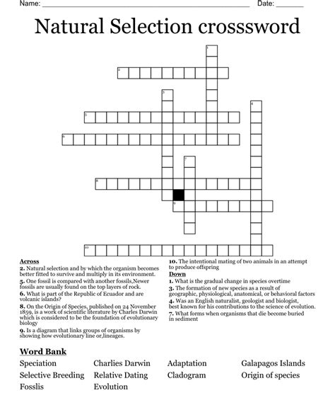 natural selection crossword|natural selection and evolution vocabulary.